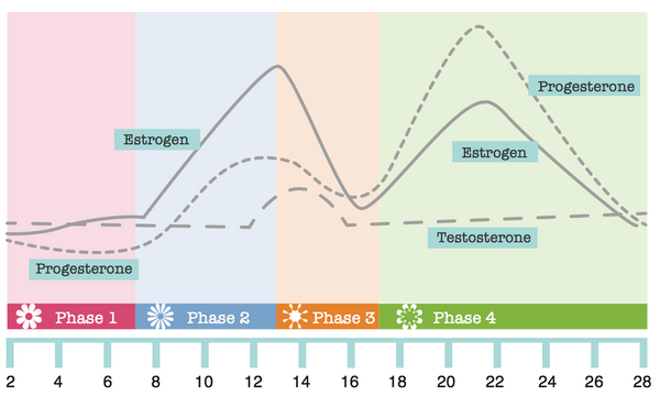 What your hormones & skin are doing at each phase of your cycle